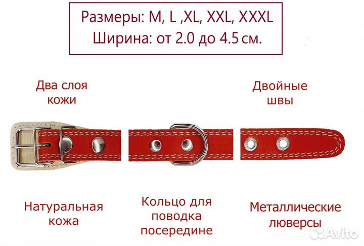 Ошейники для собак. Натуральная кожа