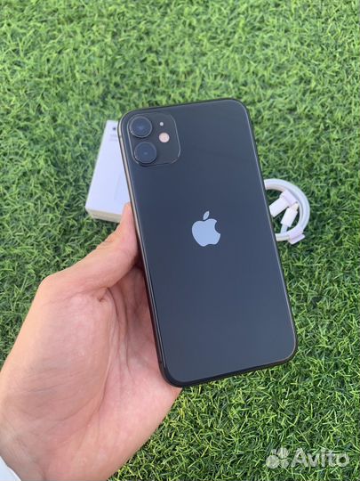 iPhone 11