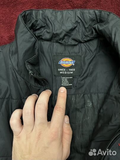 Ветровка Dickies
