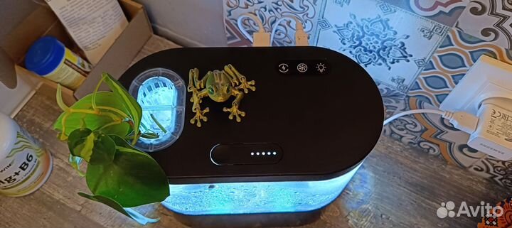 Аквариум с рыбками 2л