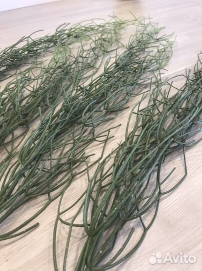 Искуственная зелень для декора