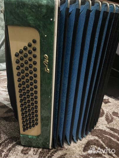 Гармонь,Аккардион