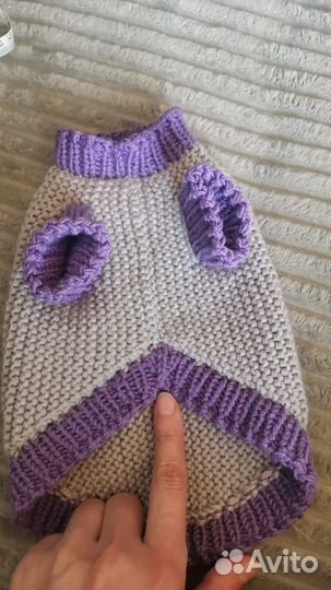 Одежда для кошек, собак