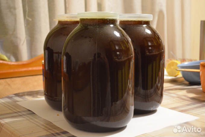 Мед гречишный 3 литра