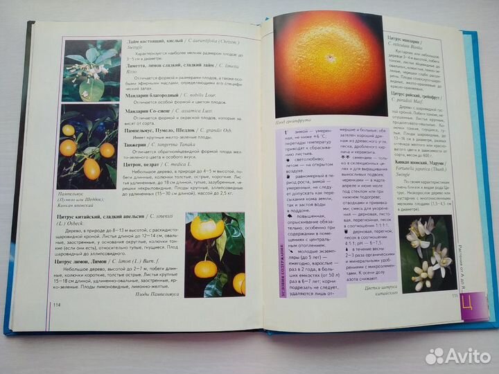 Уход за растениями, уют в доме