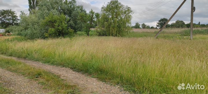 Покос травы триммером