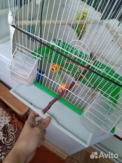 Клетка для попугая