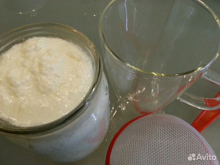 Кефирный гриб