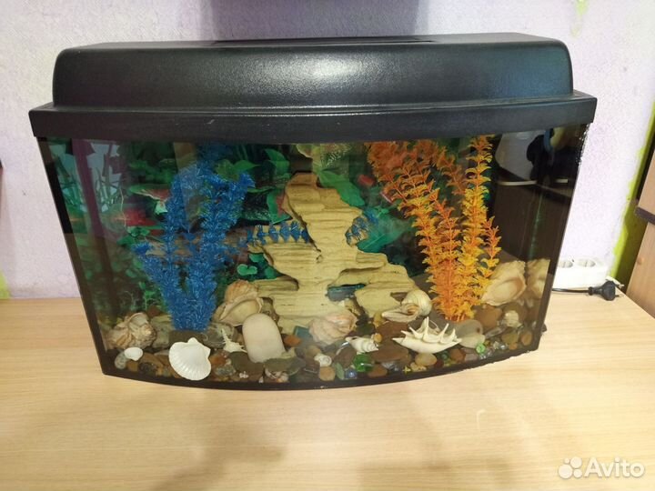 Аквариум