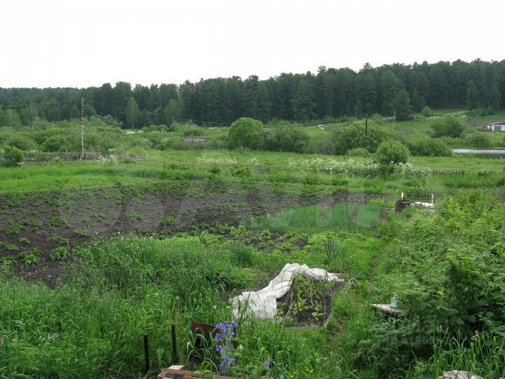 Участок 20 сот. (ИЖС)