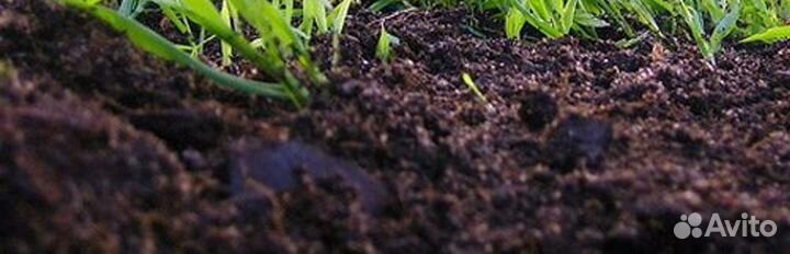 Чернозем / плодородный грунт