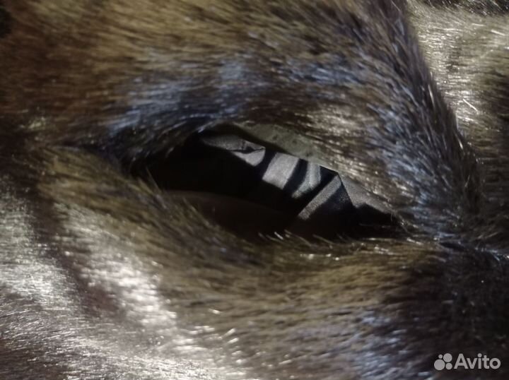 Искусственная шуба под норку короткая