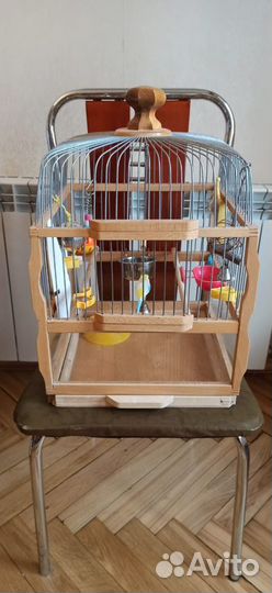 Клетка для попугая