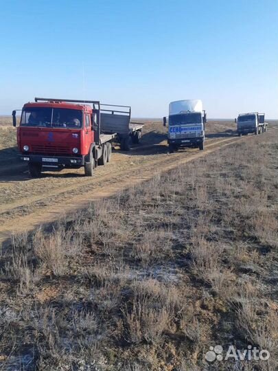 Сено в рулонах 2023г