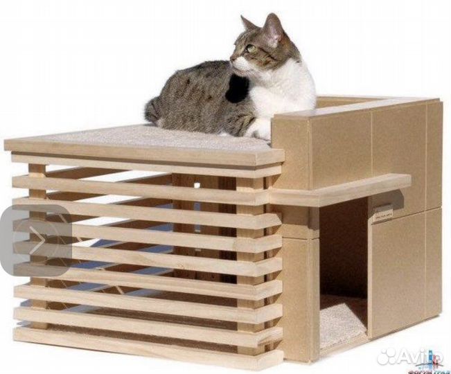 Передержка животных