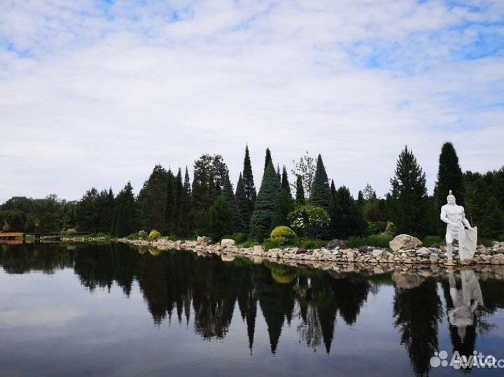 Экскурсия на самолете Казань - Камское Устье