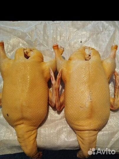 Мясо утки
