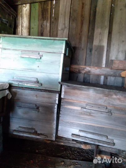 Улья и пчёлы