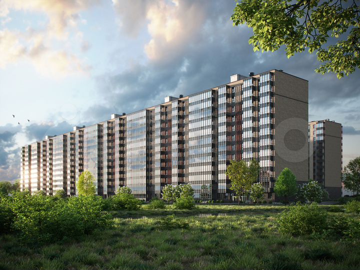 Квартира-студия, 24 м², 11/12 эт.