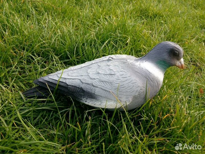 Голубь Вяхирь чучело для охоты