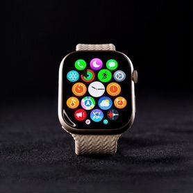 Apple Watch Series 9 45 mm (2024)