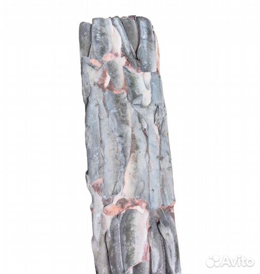 Горбуша б/г с/м