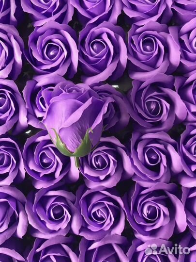 Мыльные розы 50 шт