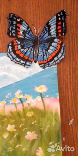 Бабочки на заказ