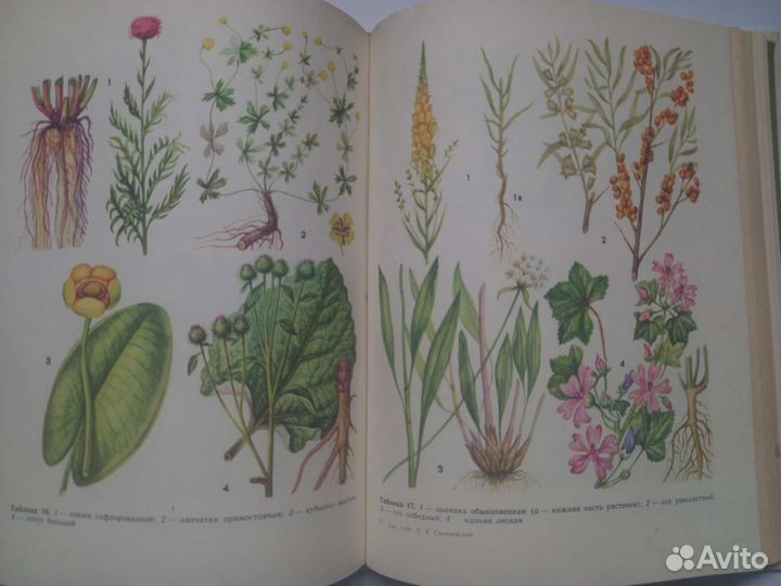 Книги о лекарственных растениях