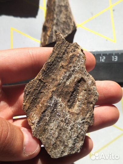 Редчайшая древесина