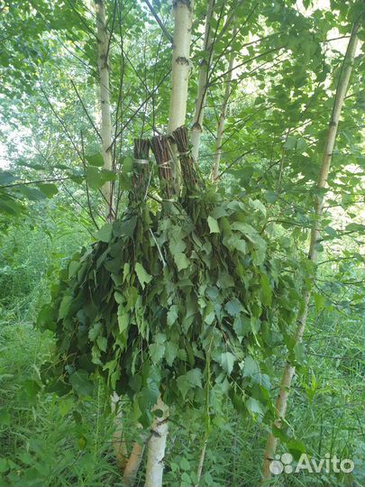 Продам банные веники