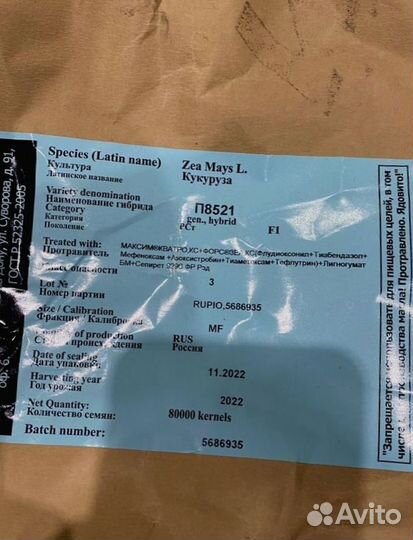 Гибриды кукурузы Пионер П7515