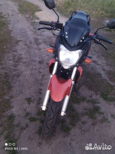 Рейсер нитро 250