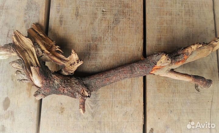 Пни и коряги для аквариумистики