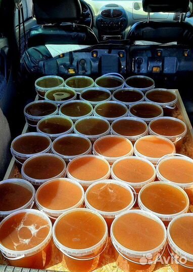 Мед липовый