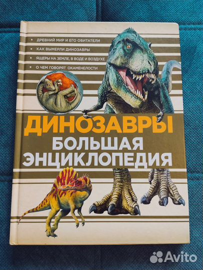 Энциклопедия для детей