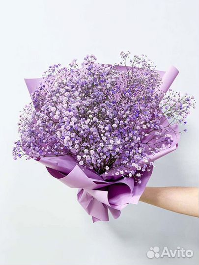 Гипсофила Букет Доставка