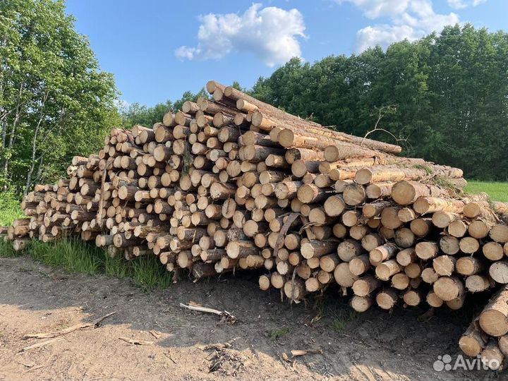 Продам балансы хвойные