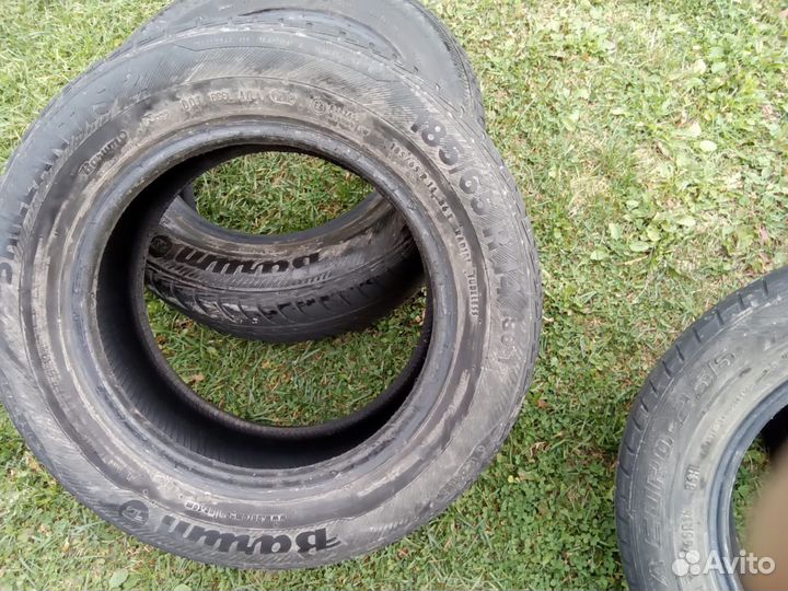 Barum Bravuris 185/65 R14