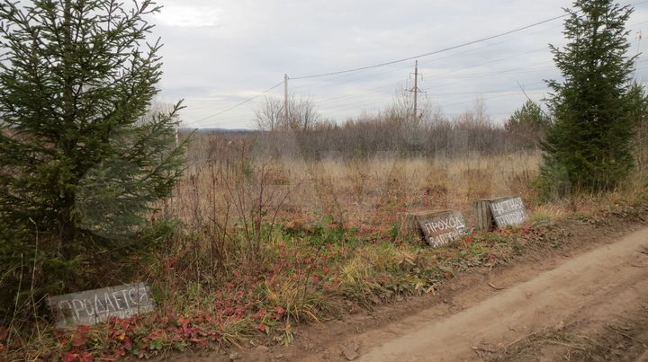 Участок 10 сот. (СНТ, ДНП)