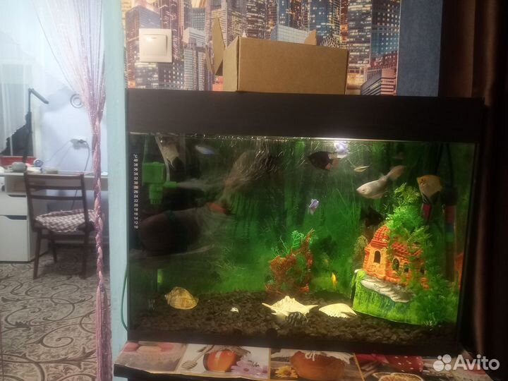 Аквариум