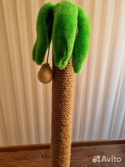 Когтеточка