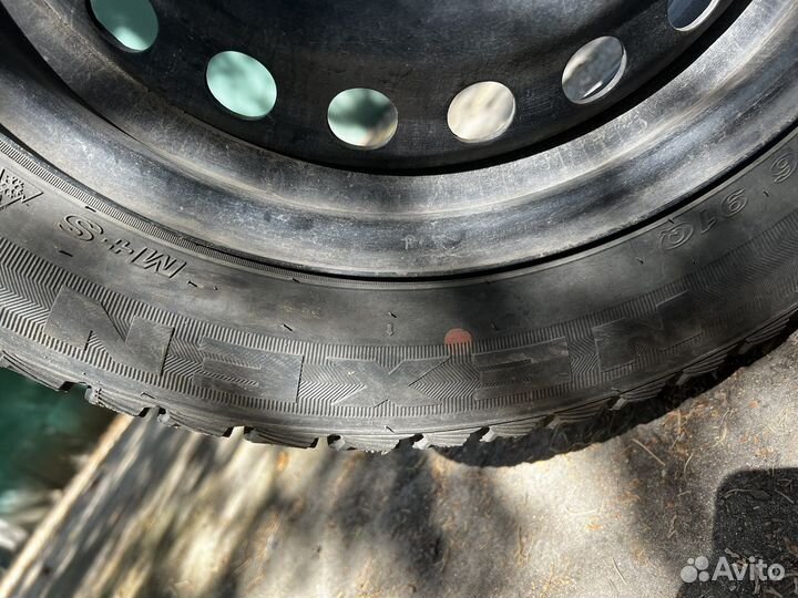 Nexen Winguard Ice 205/55 R16