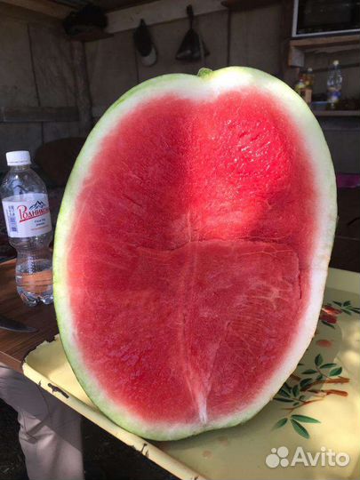 Арбузы