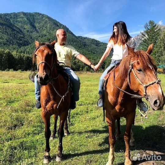 Конные прогулки на лошадях Сочи Адлер Сириус