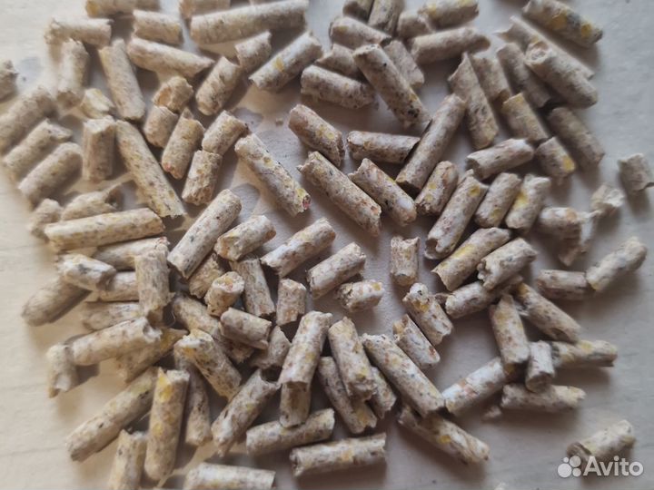 Кукуруза гранула