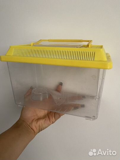 Переноска для черепах