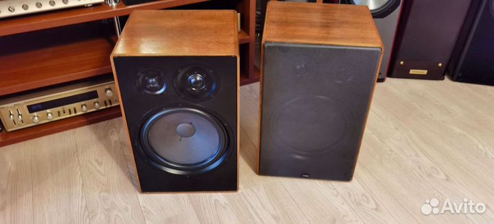 Колонки canton GLE 100. Натуральный шпон