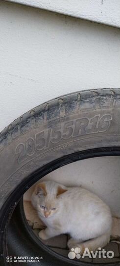 Cordiant Sport 3 205/55 R16