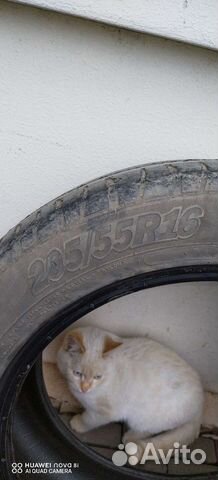 Cordiant Sport 3 205/55 R16